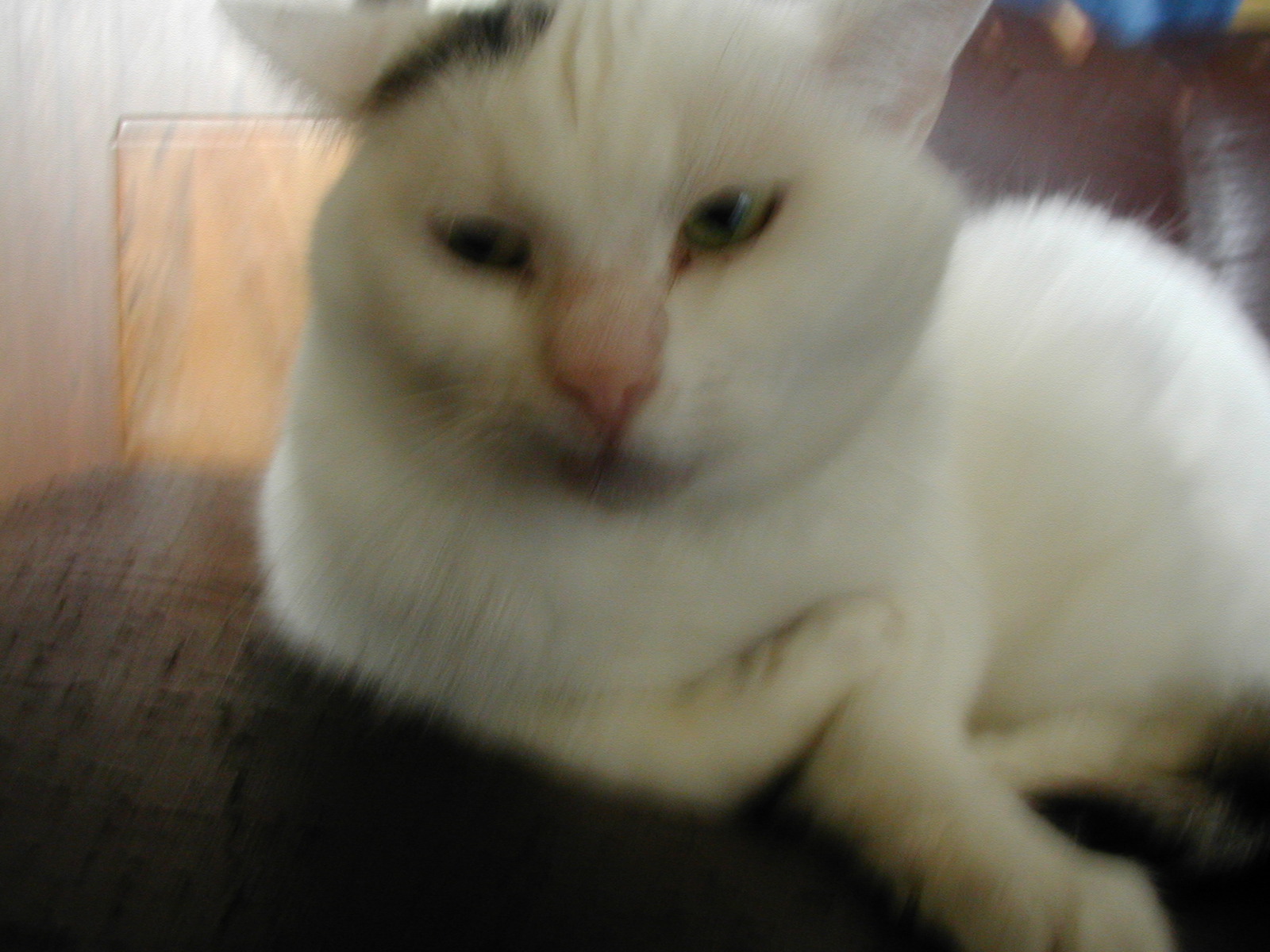 P1010033.JPG