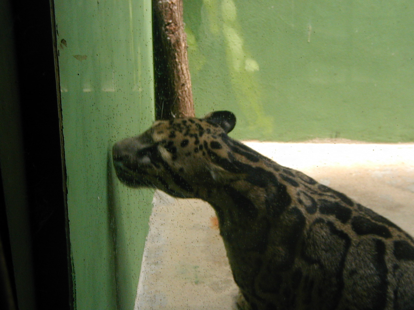 P1010016.JPG